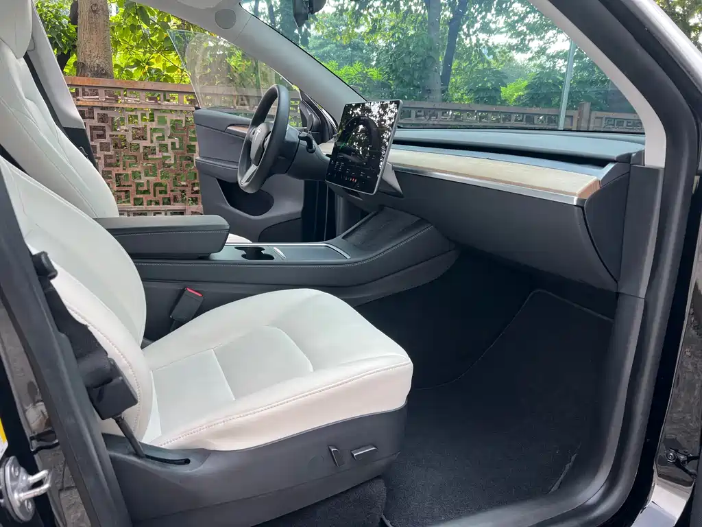 Tesla Model Y — миниатюра 10