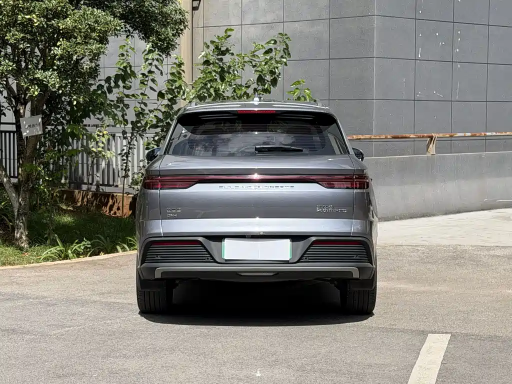 BYD Pro New Energy — миниатюра 7