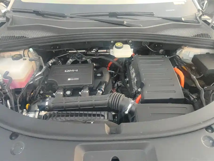 BYD SONGJIANG NEW ENERGY