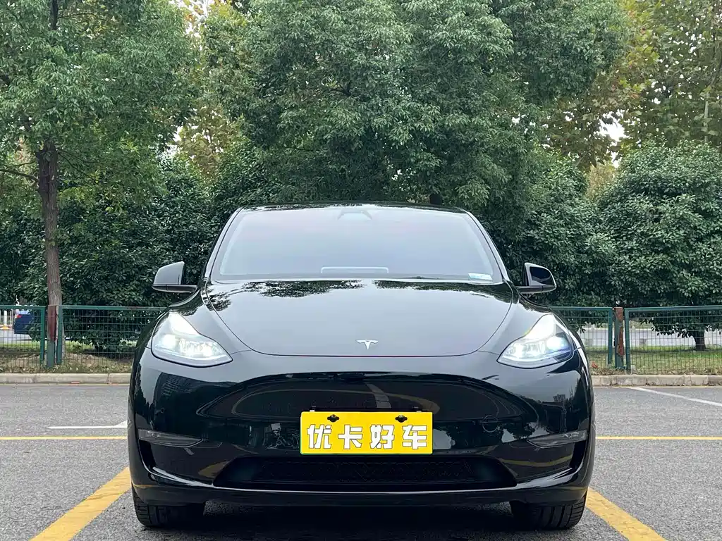 Tesla Model Y — миниатюра 4