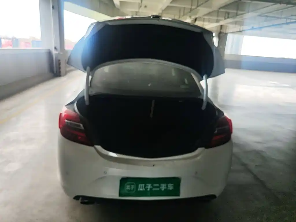 Buick Regal — миниатюра 15