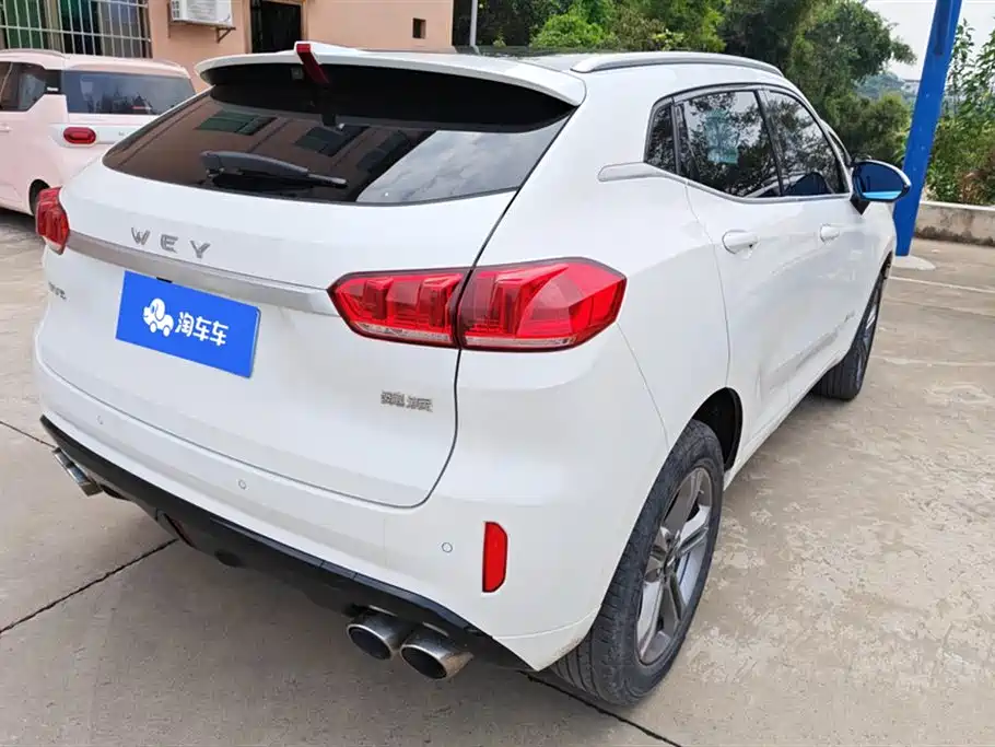 WEI PAI WEI BRAND VV5