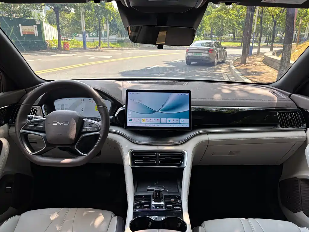 BYD PLUS New Energy — миниатюра 20