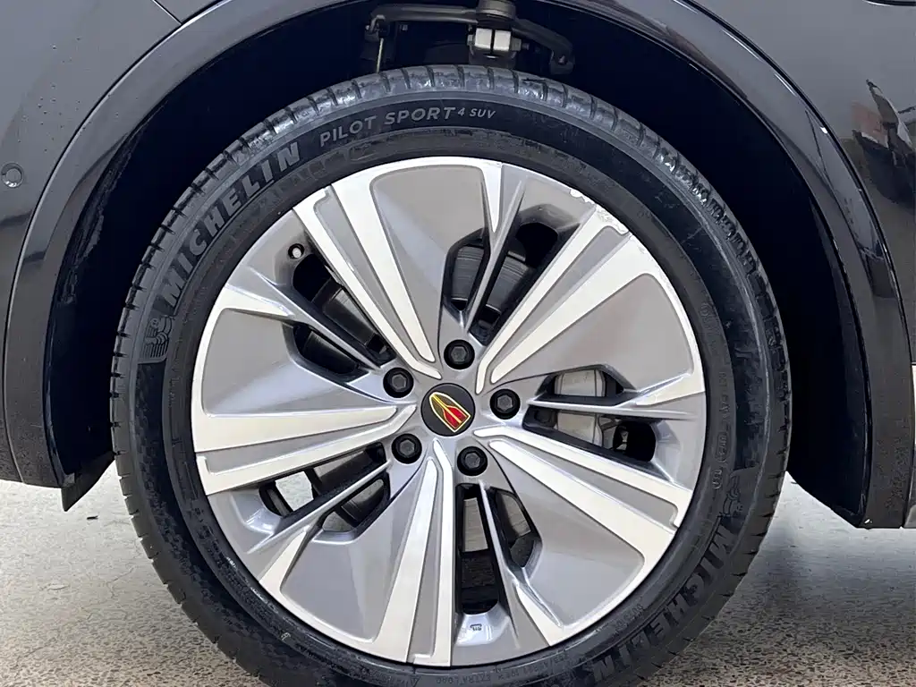 Hongqi Hongqi E-HS9 — миниатюра 10