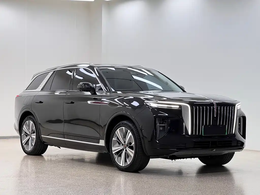 Hongqi Hongqi E-HS9 — миниатюра 3