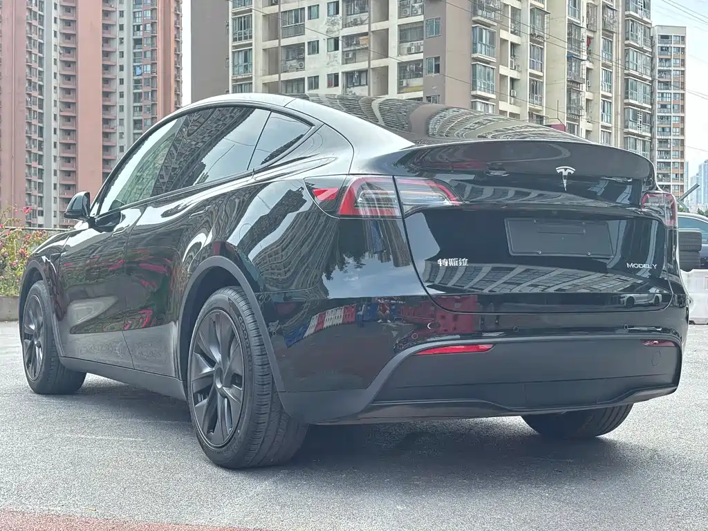 Tesla Model Y — миниатюра 6