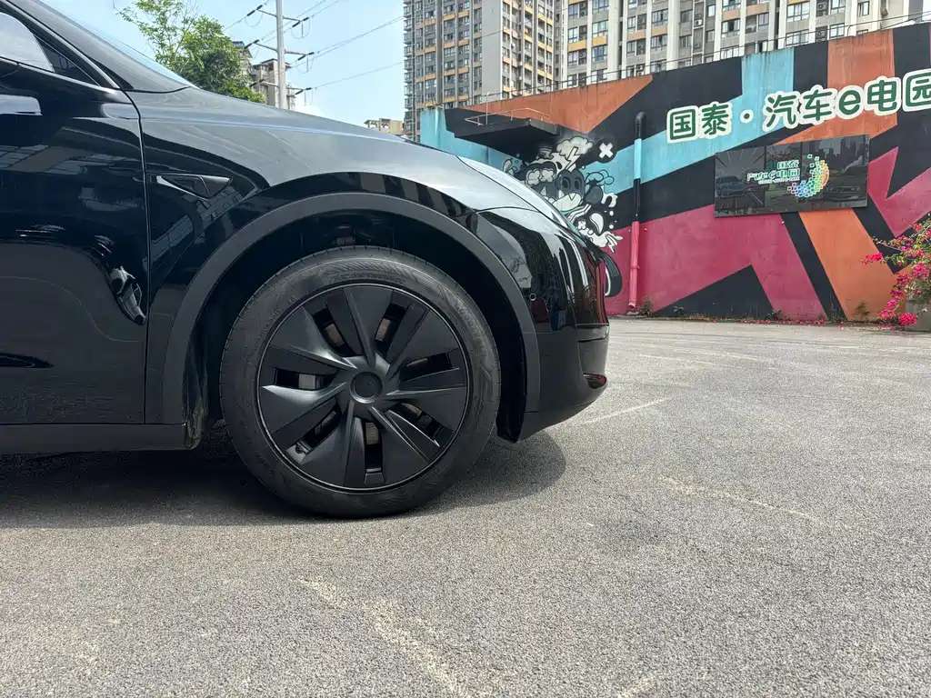 Tesla Model Y — миниатюра 15