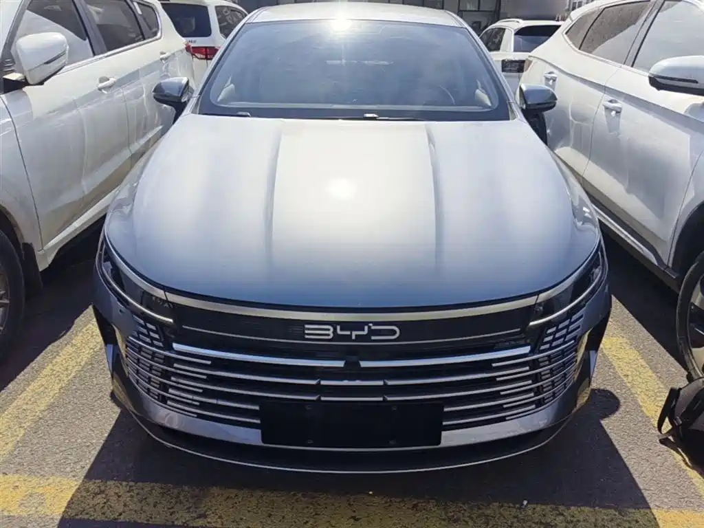 BYD Destroyer 05 2024 DM-i 55KM Luxury