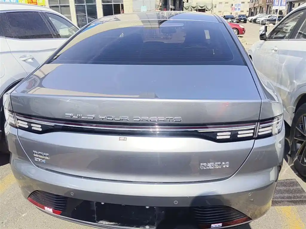 BYD Destroyer 05 2024 DM-i 55KM Luxury
