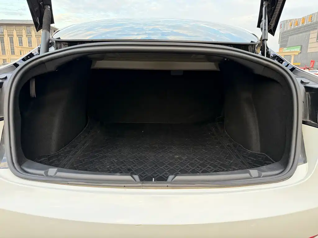 Tesla Model 3 — миниатюра 14