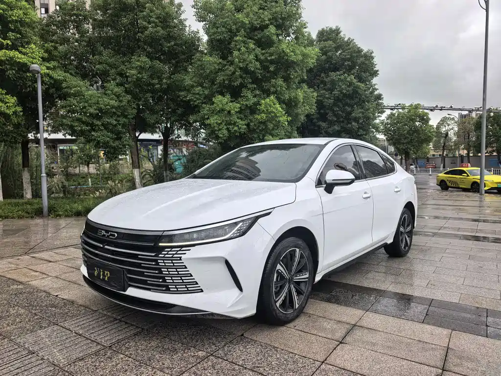 BYD Destroyer 05 2024