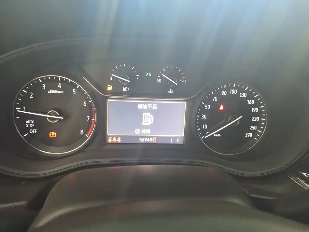 Buick Regal — миниатюра 11