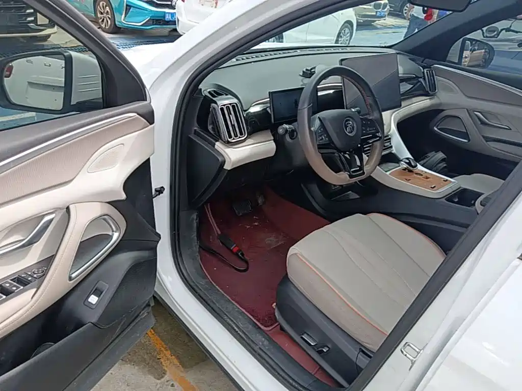 BYD Pro New Energy — миниатюра 16