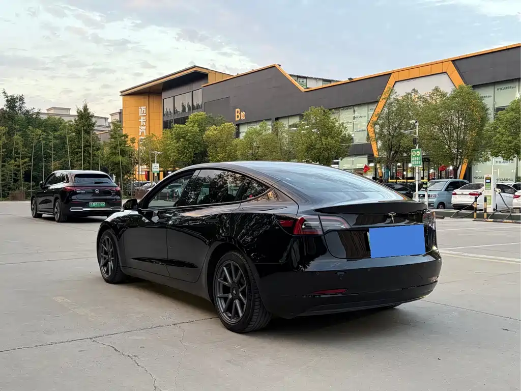 Tesla Model 3 — миниатюра 16