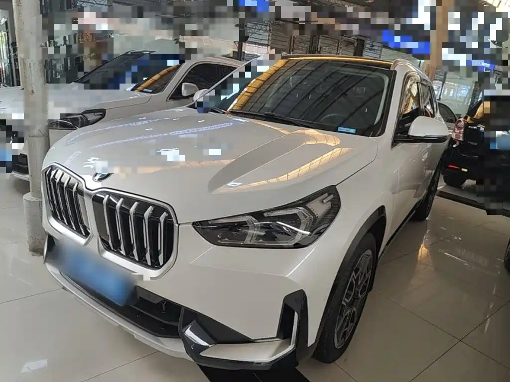 BMW X1 — миниатюра 2