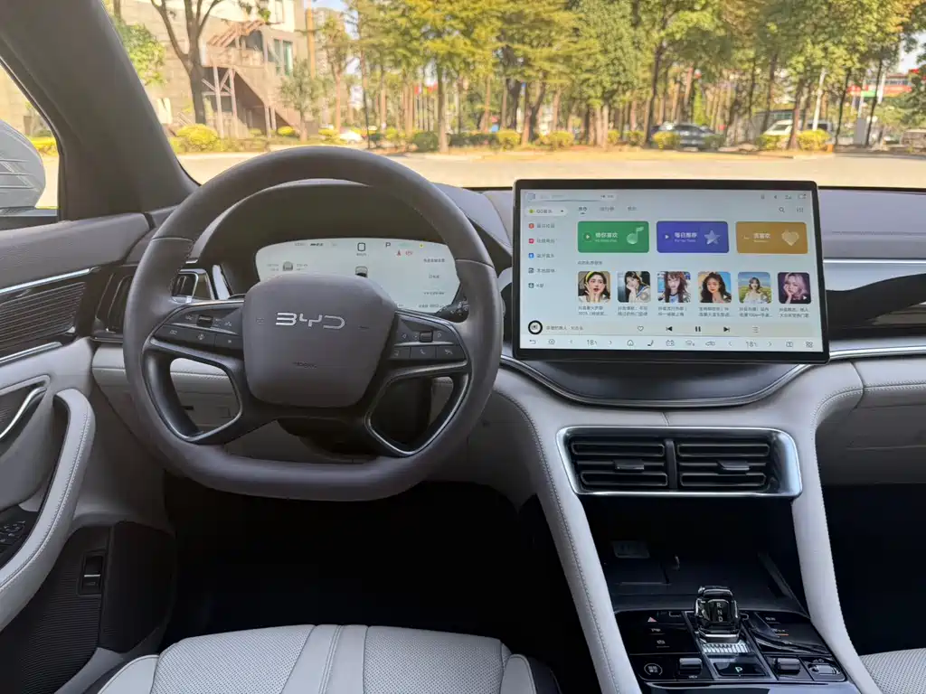 BYD SONGJIANG NEW ENERGY