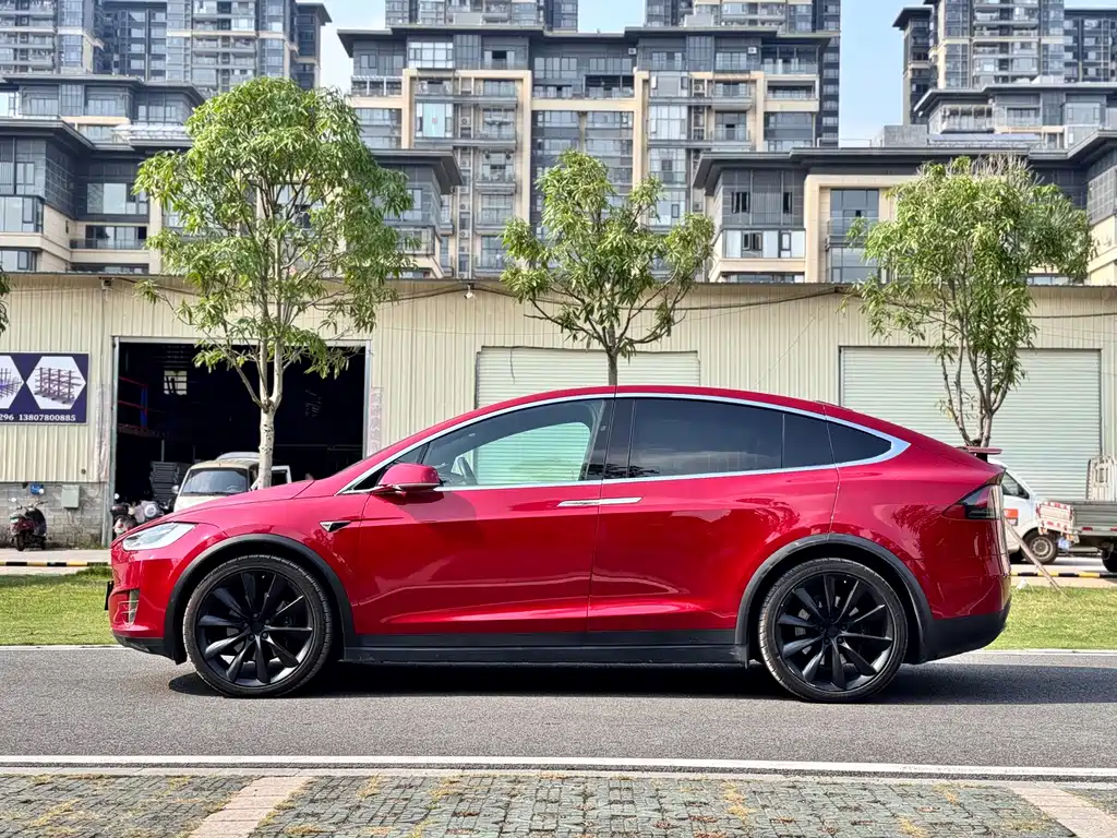 Tesla Model X — миниатюра 6