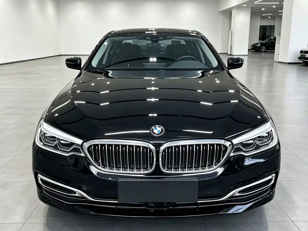 BMW 5 Series New Energy — миниатюра 2
