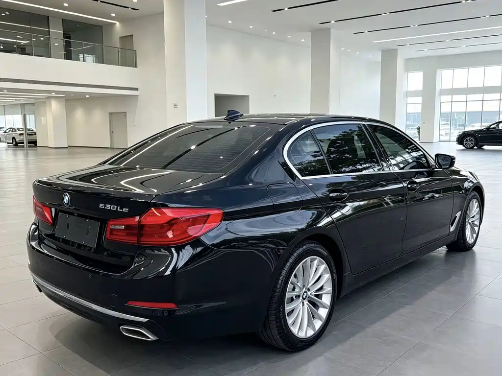 BMW 5 Series New Energy — миниатюра 7