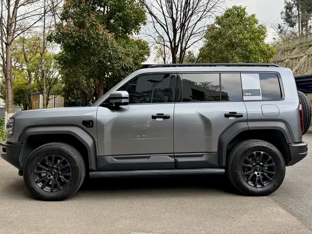 FANG CHENG BAO LEOPARD 5