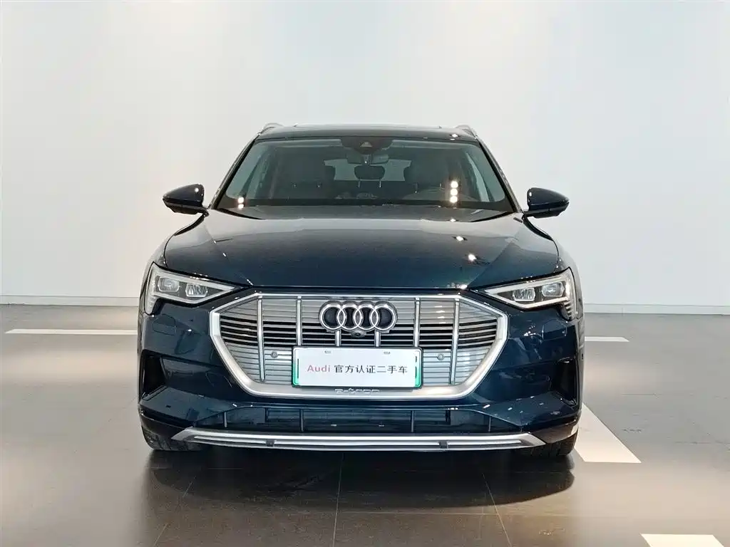 Audi e-tron (Import) — миниатюра 2