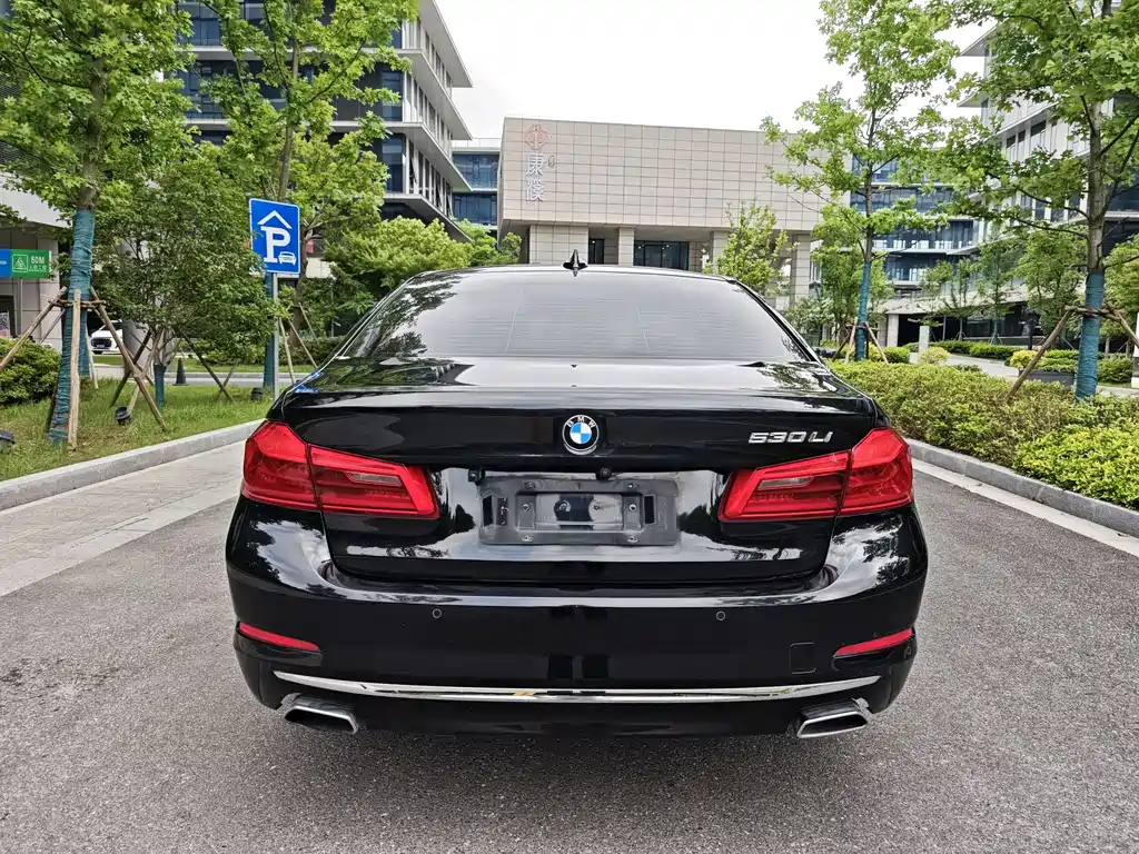 BMW 5 Series 5 2018 530Li Premium Luxury