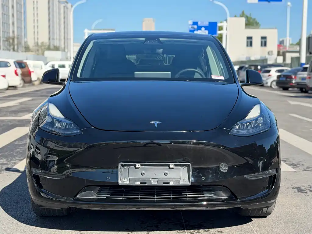 Tesla Model Y — миниатюра 2