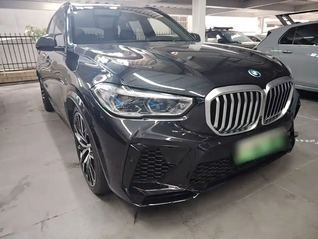 BMW X5 New Energy (Import) — миниатюра 4