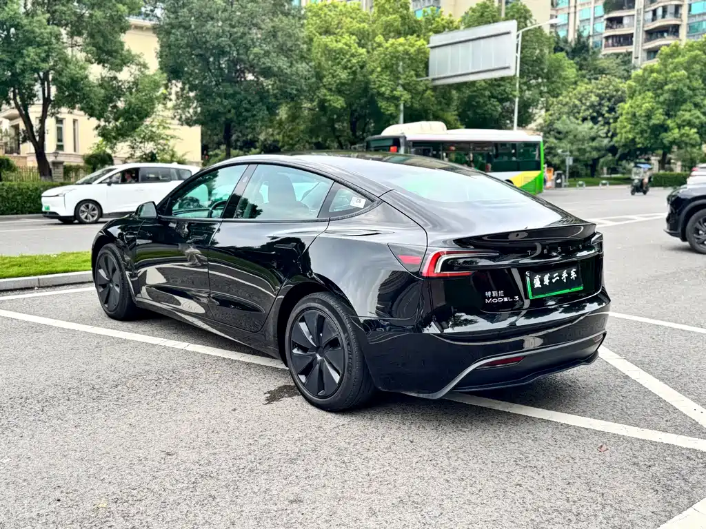Tesla Model 3 — миниатюра 19