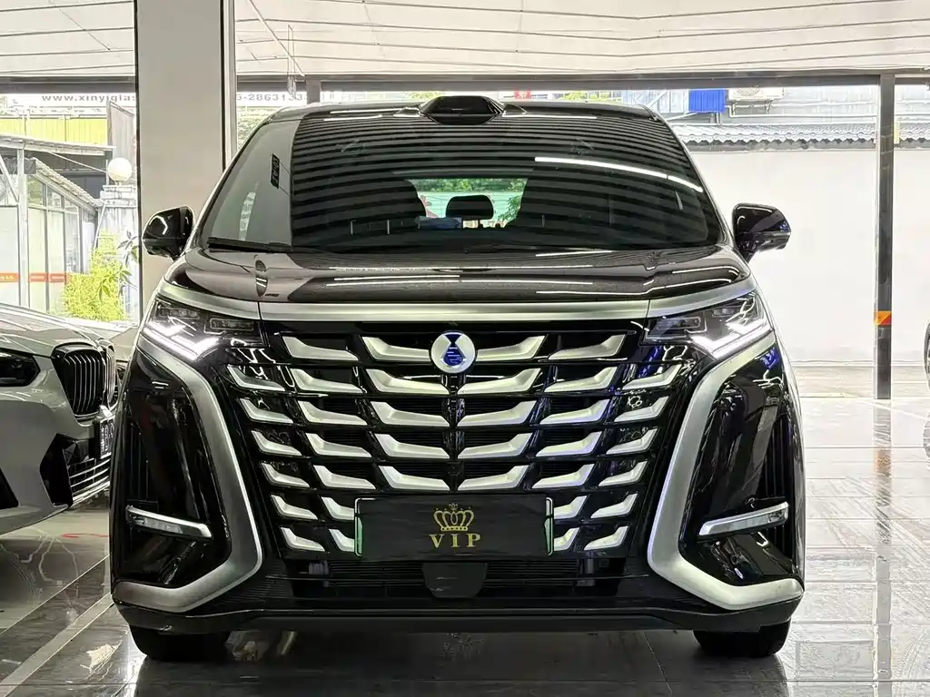 Denza Denza D9 — миниатюра 2
