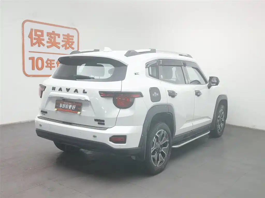 HAVAL SECOND GENERATION BIG DOG NEW ENERGY