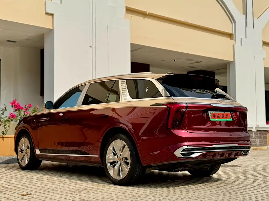 Hongqi HONGQI E HS9