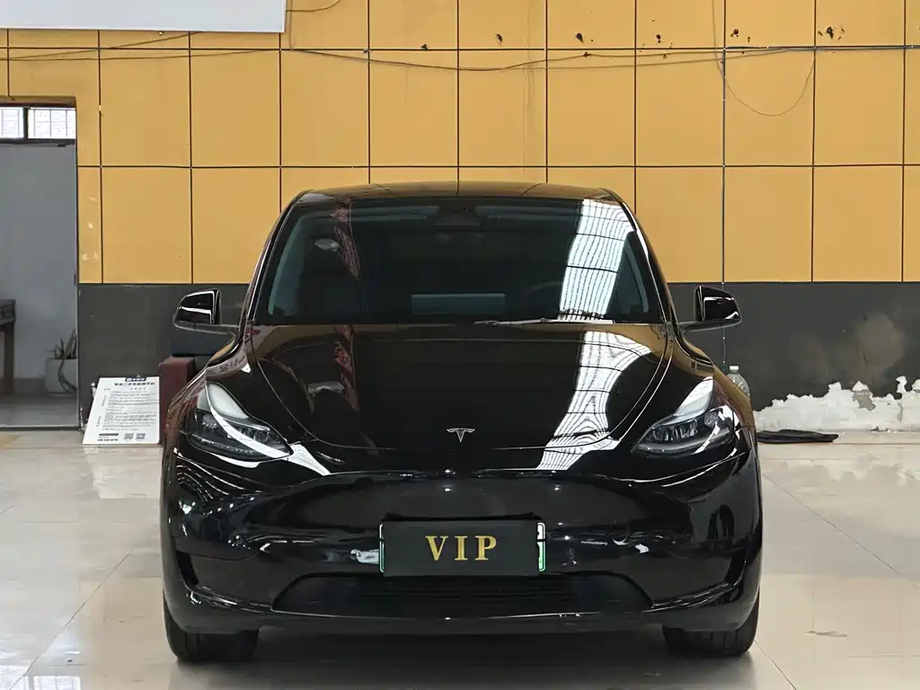 Tesla Model Y — миниатюра 2
