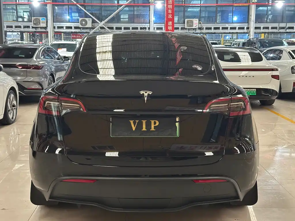 Tesla Model Y — миниатюра 6