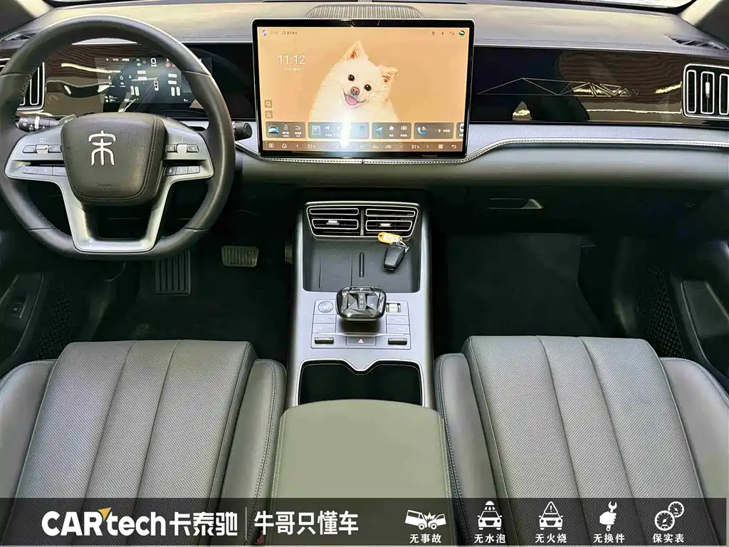 BYD SONGJIANG NEW ENERGY