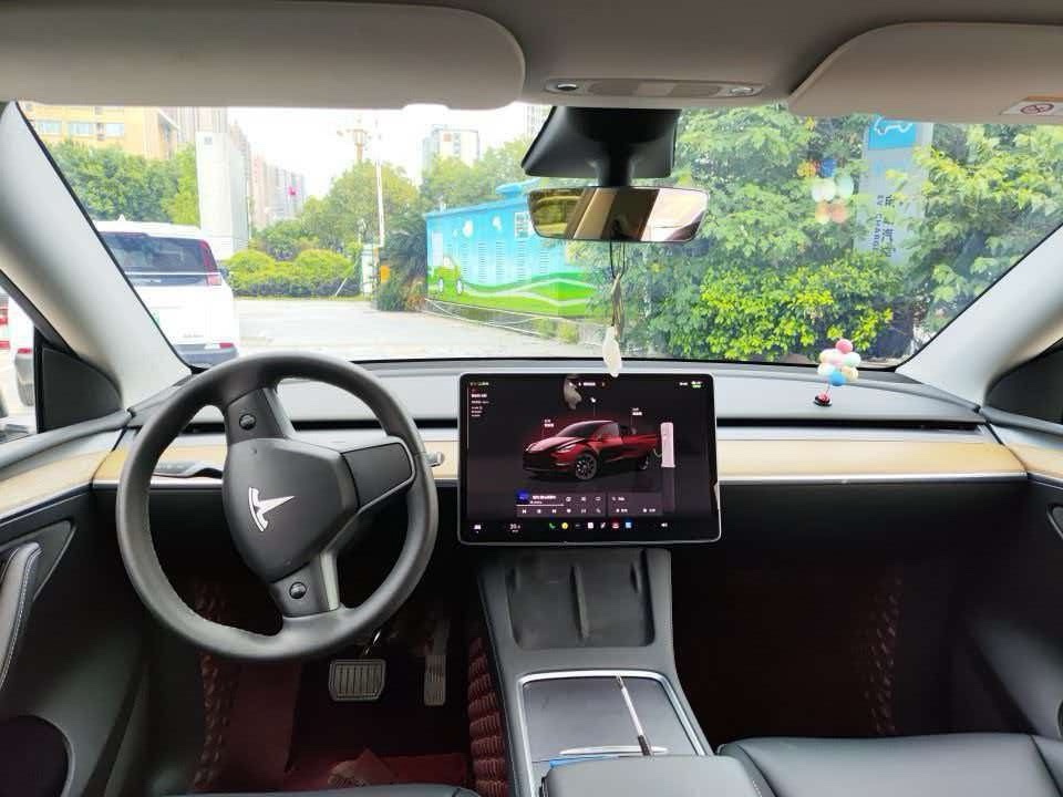 Tesla Model Y — миниатюра 5