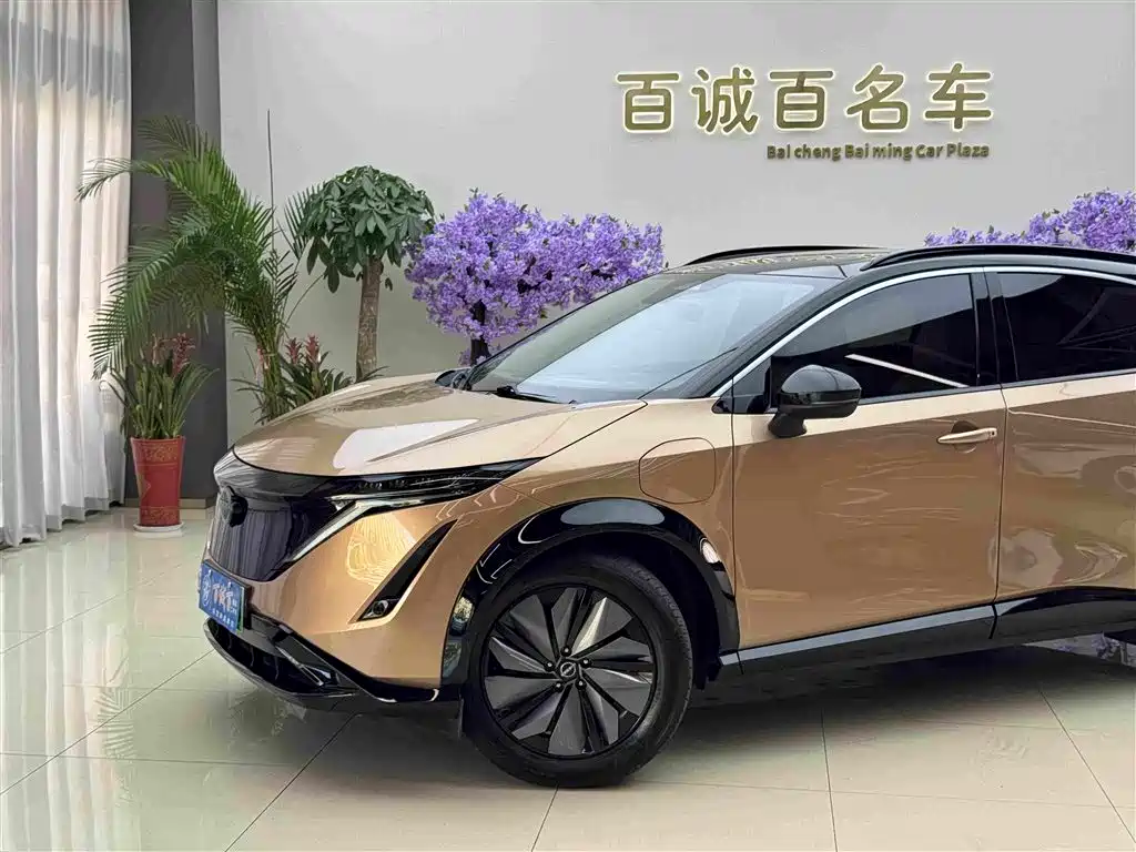 Nissan Ariya — миниатюра 2