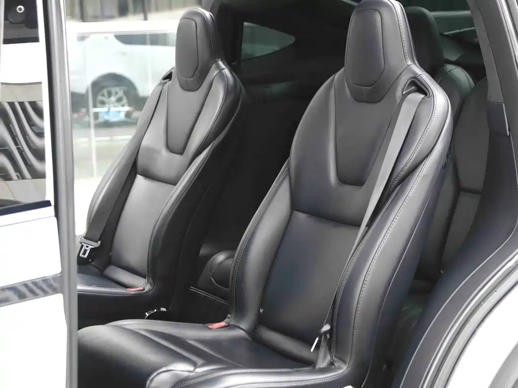 Tesla Model X — миниатюра 6