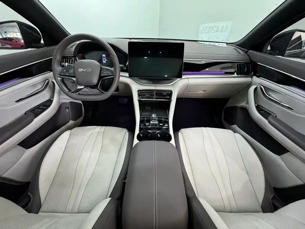 BYD SONGJIANG NEW ENERGY