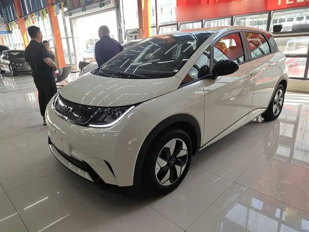 Byd Dolphin 2026