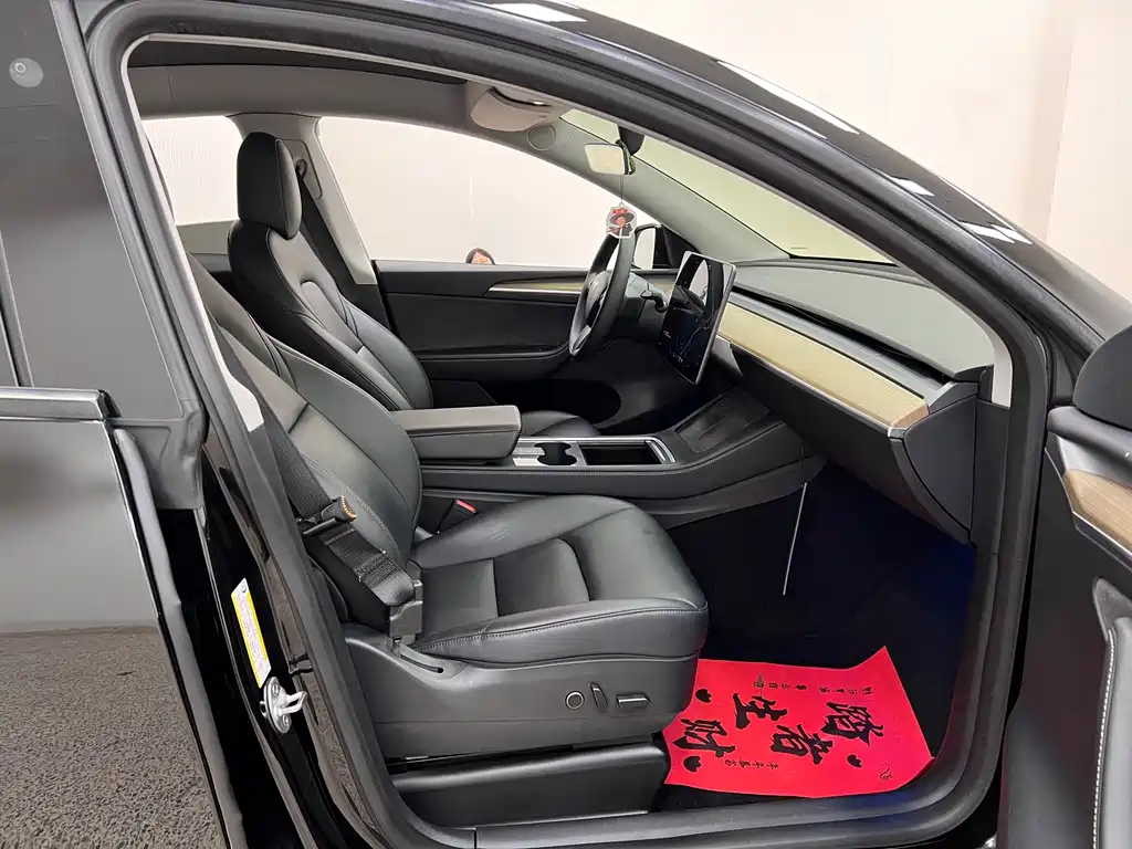 Tesla Model Y — миниатюра 29