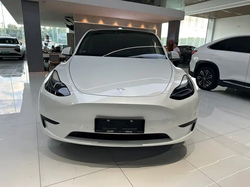 Tesla Model Y — миниатюра 2