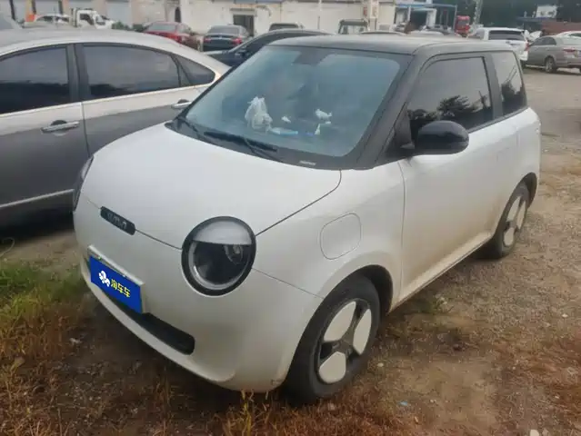 2024 Changan Lumin