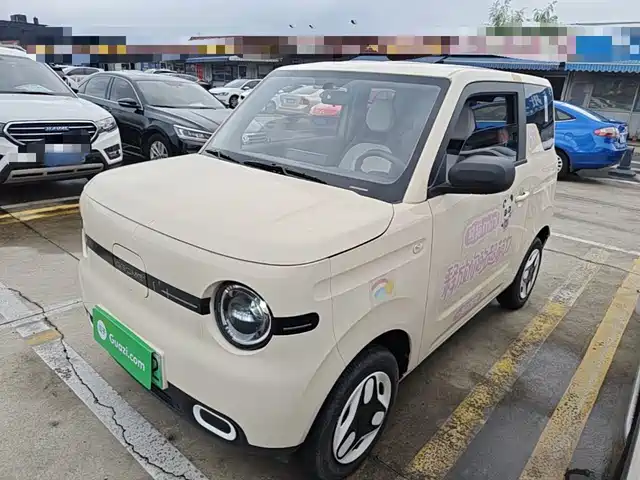2025 Geely LC (Panda)