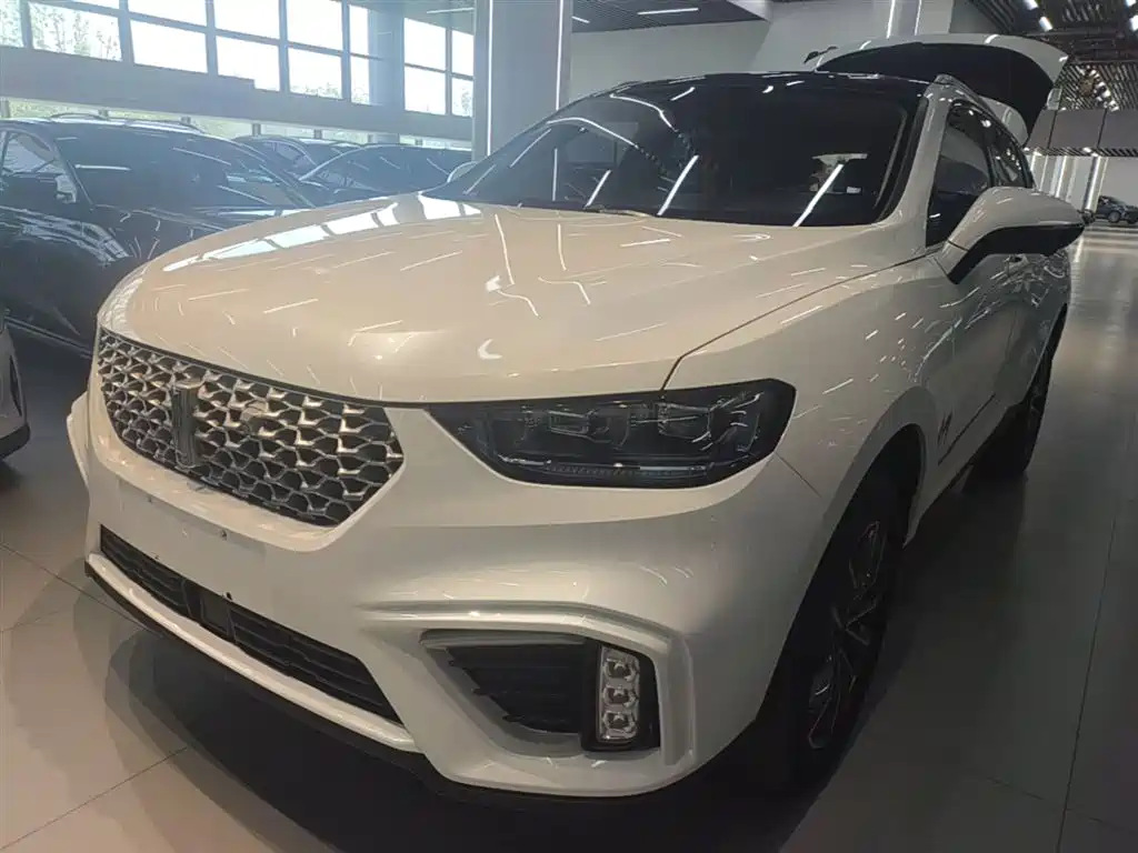 Wey Wey VV5 2020