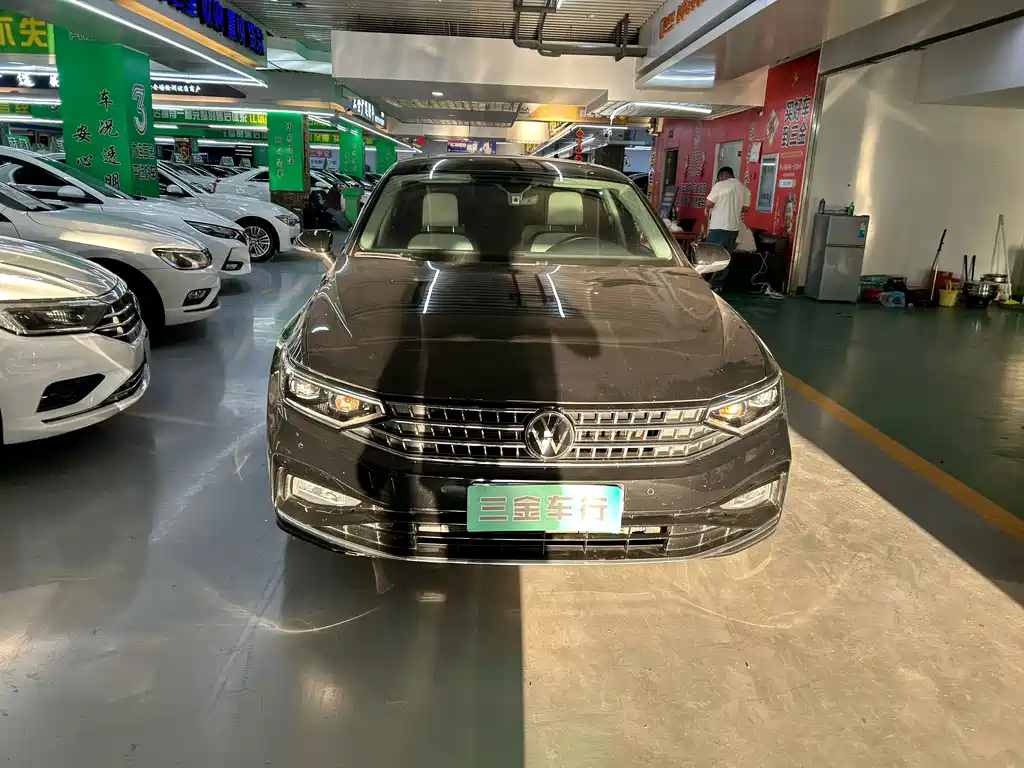 Volkswagen Magotan — миниатюра 2