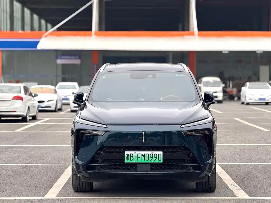 WEI PAI WEI BRAND BLUE MOUNTAIN