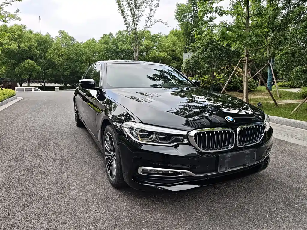 BMW 5 Series 5 2018 530Li Premium Luxury