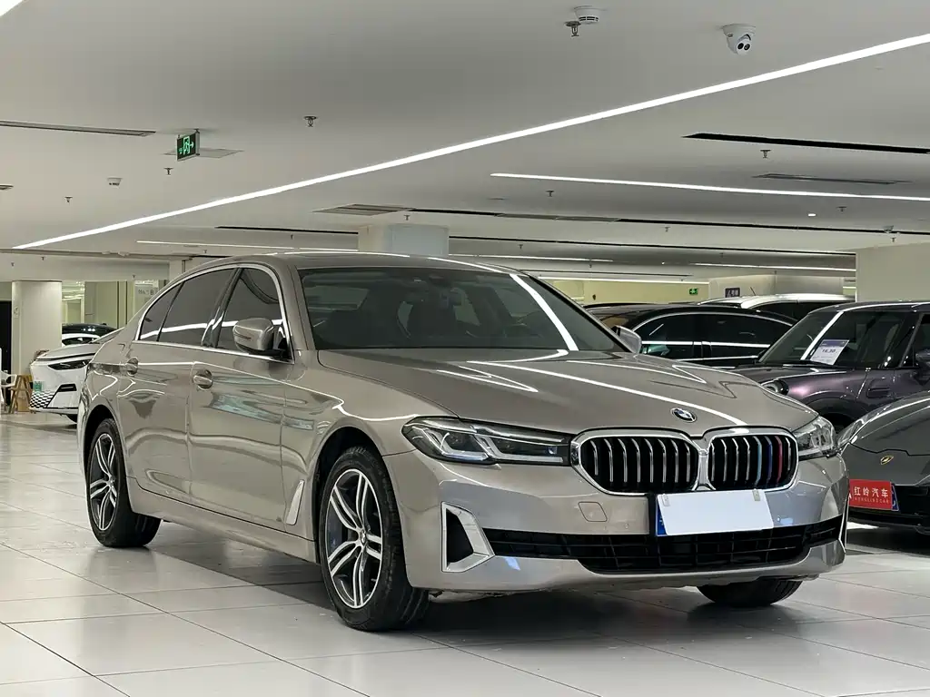 BMW 5 Series 5 2021 530Li Lead Luxury