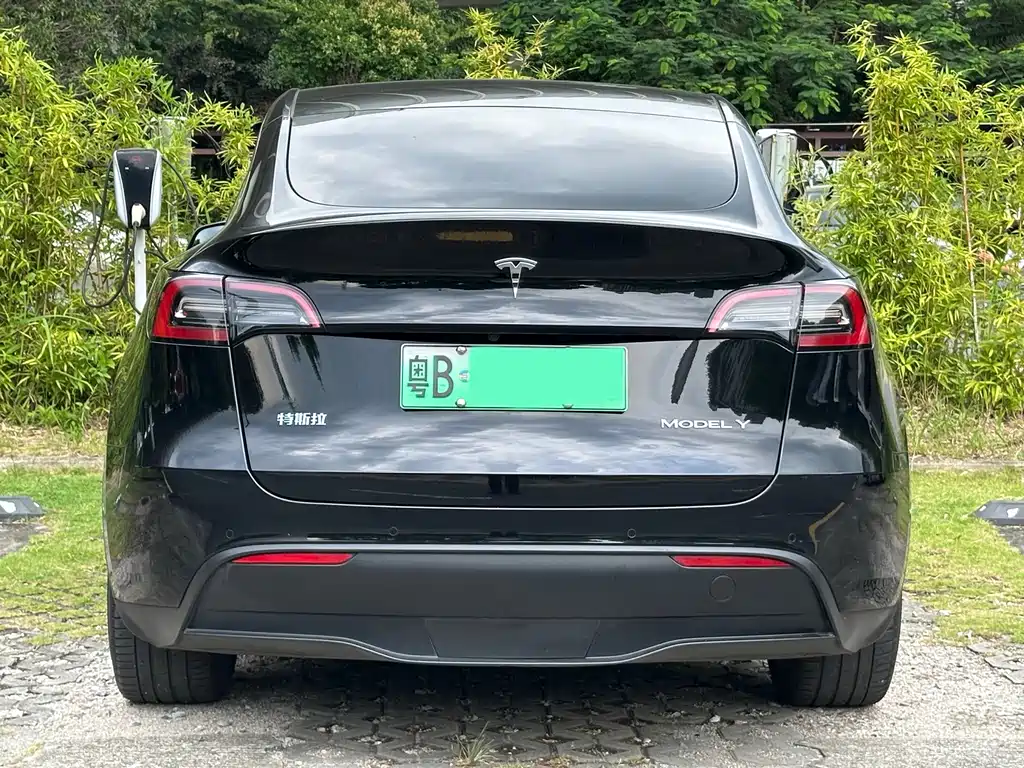 Tesla Model Y — миниатюра 15